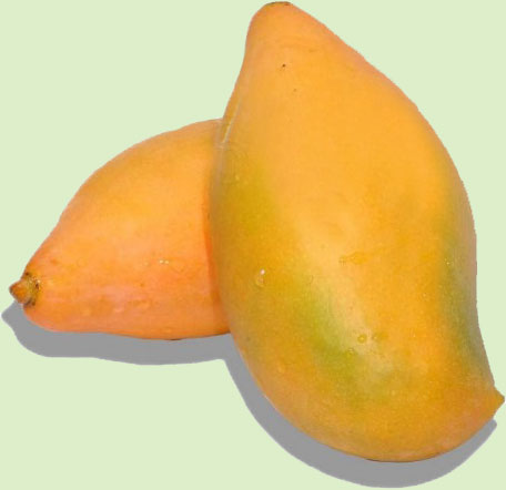 totapuri-mango-dices